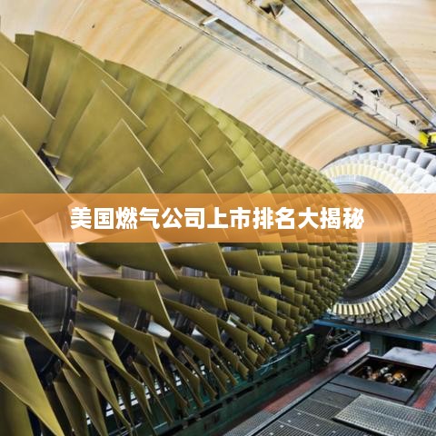成功案例 第3页