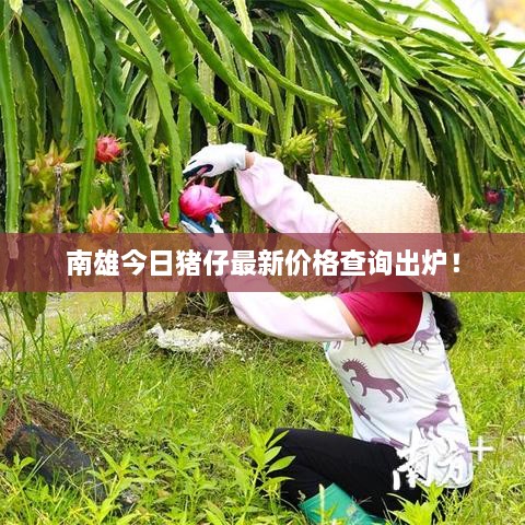 关于我们 第3页