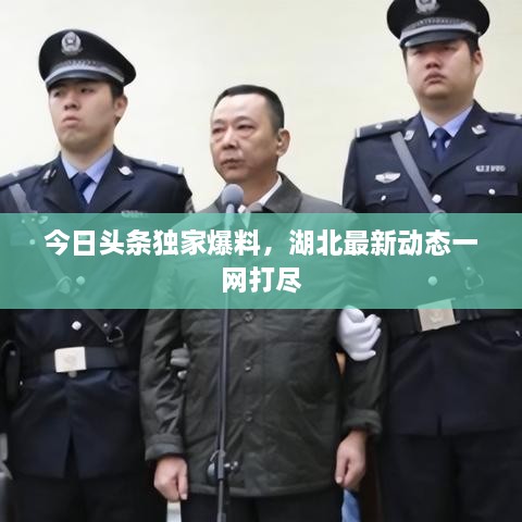 成功案例