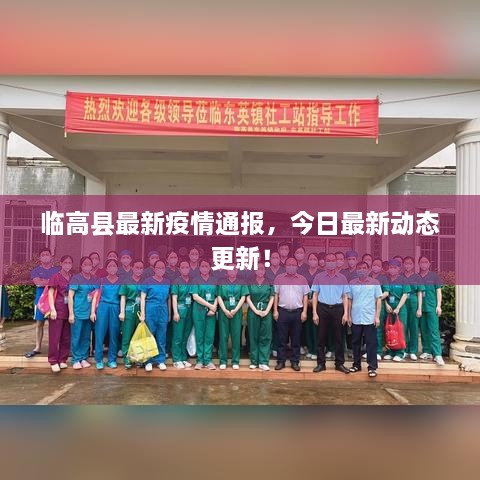 临高县最新疫情通报，今日最新动态更新！