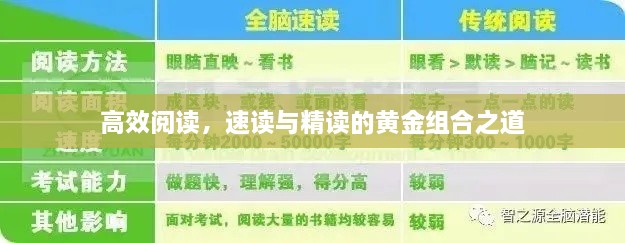 高效阅读，速读与精读的黄金组合之道