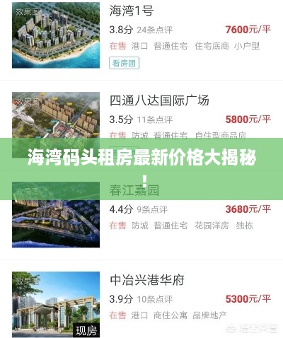 海湾码头租房最新价格大揭秘！