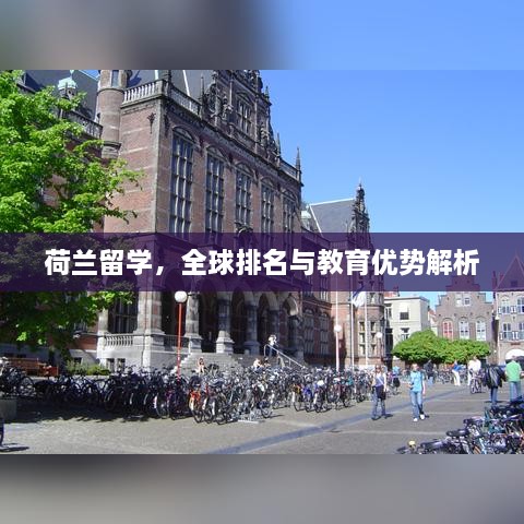 荷兰留学，全球排名与教育优势解析