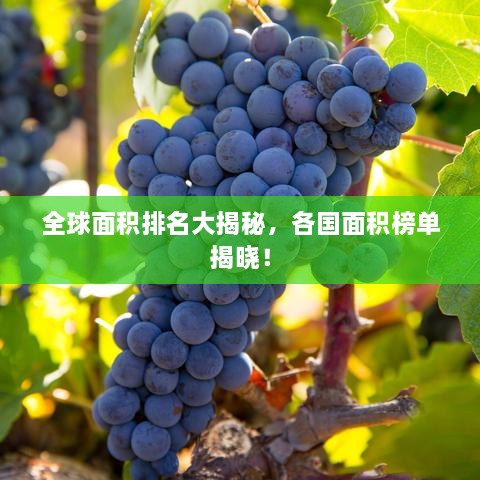 全球面积排名大揭秘，各国面积榜单揭晓！