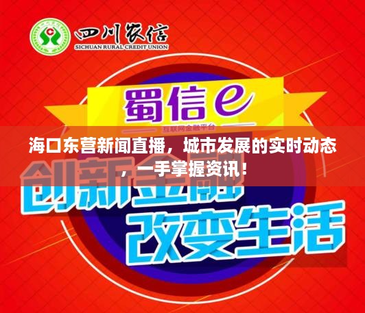 海口东营新闻直播，城市发展的实时动态，一手掌握资讯！