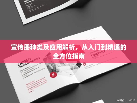 宣传册种类及应用解析，从入门到精通的全方位指南