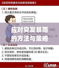 应对突发暴雨的方法与策略