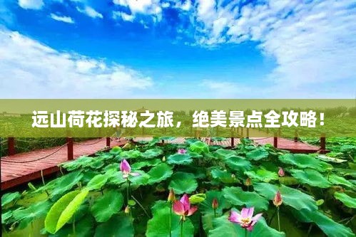 远山荷花探秘之旅，绝美景点全攻略！