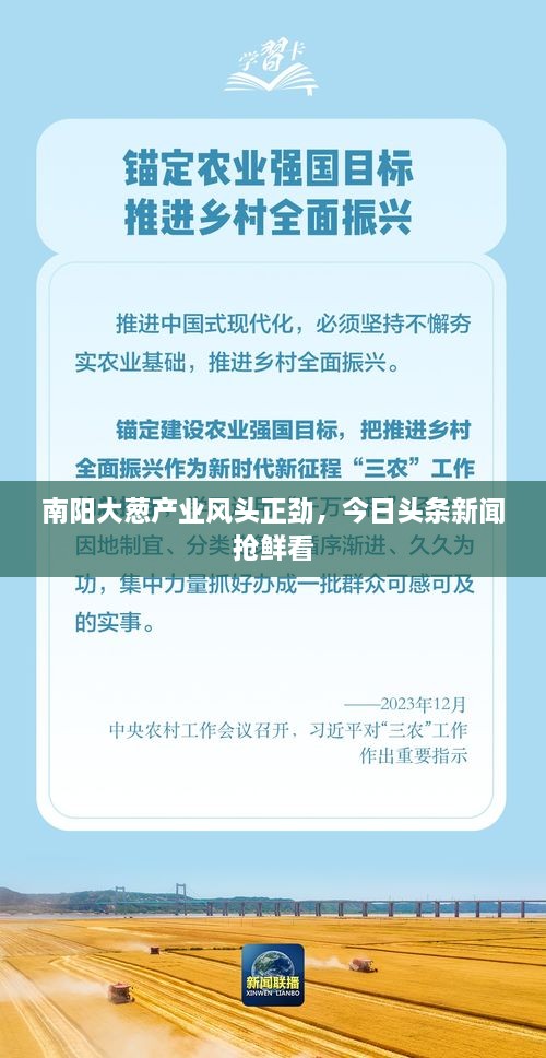 南阳大葱产业风头正劲，今日头条新闻抢鲜看