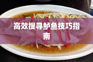高效搜寻鲈鱼技巧指南