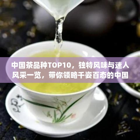 中国茶品种TOP10，独特风味与迷人风采一览，带你领略千姿百态的中国茶文化！