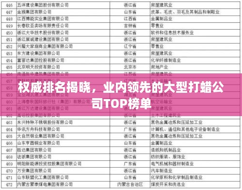 权威排名揭晓，业内领先的大型打蜡公司TOP榜单