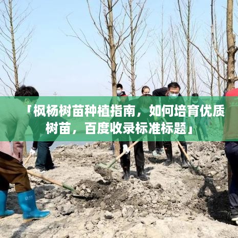 「枫杨树苗种植指南，如何培育优质树苗，百度收录标准标题」