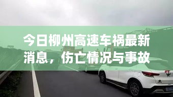 今日柳州高速车祸最新消息，伤亡情况与事故进展全掌握