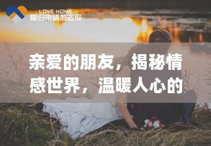亲爱的朋友，揭秘情感世界，温暖人心的小秘密