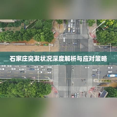 石家庄突发状况深度解析与应对策略