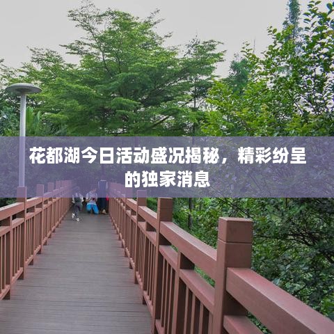 花都湖今日活动盛况揭秘，精彩纷呈的独家消息