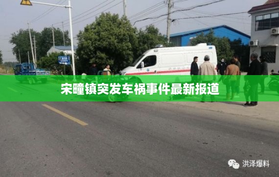 宋疃镇突发车祸事件最新报道