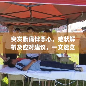 突发腹痛伴恶心，症状解析及应对建议，一文速览！
