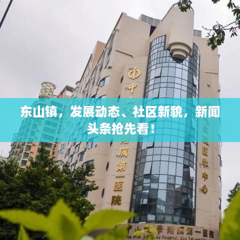 东山镇，发展动态、社区新貌，新闻头条抢先看！