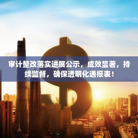 审计整改落实进展公示，成效显著，持续监督，确保透明化通报表！