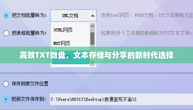 高效TXT微盘，文本存储与分享的新时代选择