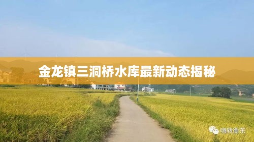 金龙镇三洞桥水库最新动态揭秘
